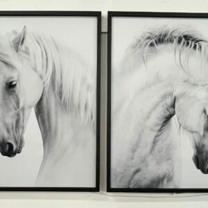 2 Quadros Cavalo
